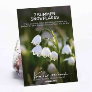 Summer Snowflakes
