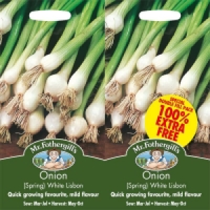 Mr. Fothergills Onion (Spring) White Lisbon