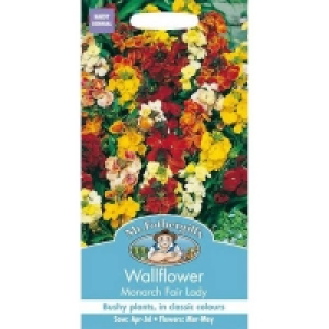 Mr. Fothergills Wallflower Monarch Fair Lady Seeds
