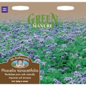 Mr. Fothergills Phacelia Tanacetifolia Green Manure Seeds