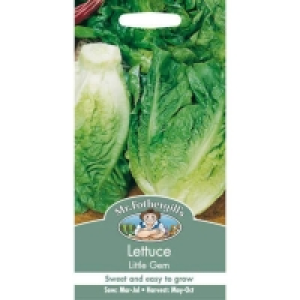 Mr. Fothergills Lettuce Little Gem (Lactuca Sativa) Seeds