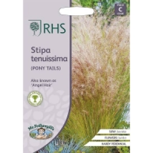 RHS Stipa Tenuimmia Pony Tails Seeds