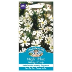 Mr. Fothergills Night Phlox Midnight Candy Seeds