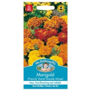 Mr. Fothergills French Marigold Dwarf Double Mixed Seeds