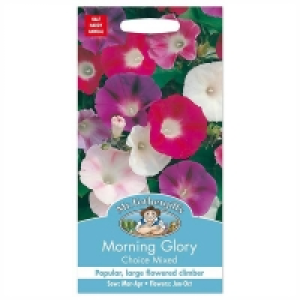 Mr. Fothergills Morning Glory Choice Mixed Seeds
