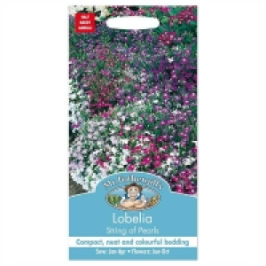 Mr. Fothergills Lobelia String Of Pearls Seeds