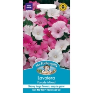 Mr. Fothergills Lavatera Parade Mixed Seeds
