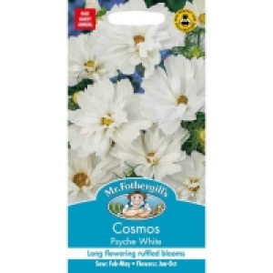 Mr. Fothergills Cosmos Psyche White Seeds