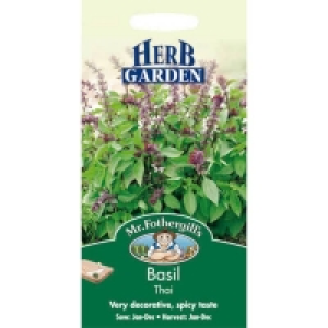 Mr. Fothergills Basil Thai Seeds