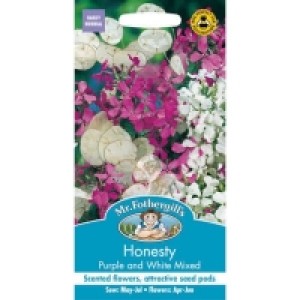 Mr. Fothergills Honesty Purple And White Mixed Seeds