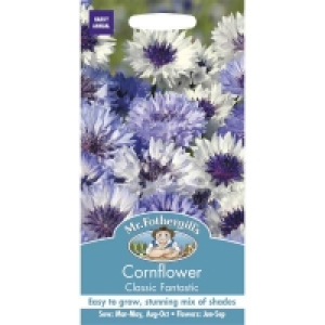 Mr. Fothergills Cornflower Classic Fantastic
