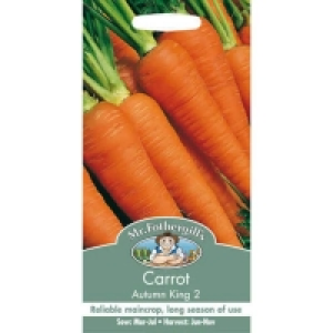 Mr. Fothergills Carrot Autumn King 2 (Daucus Carota) Seeds