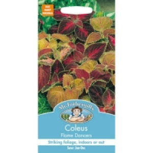 Mr. Fothergills Coleus Flame Dancers Seeds