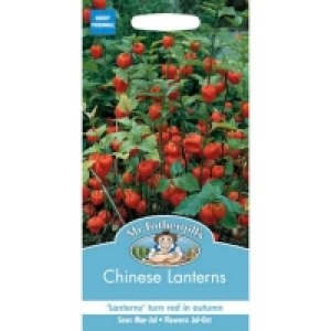 Mr. Fothergills Chinese Lanterns (Physalis Alkekengi) Seeds