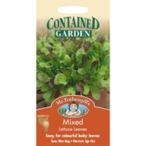 Mr. Fothergills Mixed Lettuce Leaves (Lactuca Sativa) Seeds