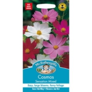 Mr. Fothergills Cosmos Sensation Mixed Seeds
