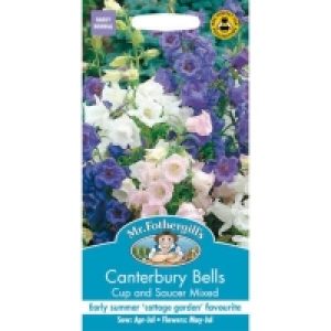 Homebase  Mr. Fothergills Canterbury Bells Cup & Saucer Mixed Seeds
