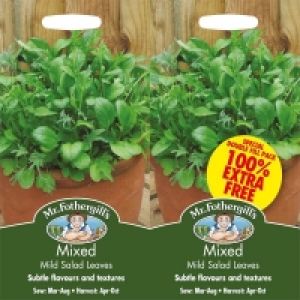 Mr. Fothergills Mixed Mild Salad Leaves