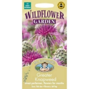 Mr. Fothergills Greater Knapweed Seeds