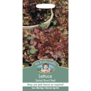 Mr. Fothergills Lettuce Salad Bowl Red Seeds