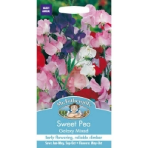 Mr. Fothergills Sweet Pea Galaxy Seeds