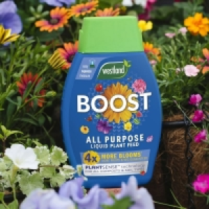 QDStores  Westland Boost All Purpose Liquid Plant Feed - 1 litre