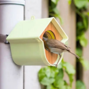 Evie Peanut Butter Feeder for Birds £7.95