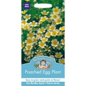 Mr. Fothergills Poached Egg Plant Seeds