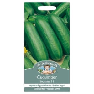 Mr. Fothergills Cucumber Socrates F1 Seeds