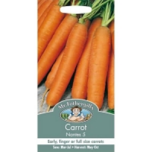 Mr. Fothergills Carrot Early Nantes 5 (Daucus Carota) Seeds