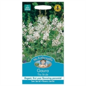 Mr. Fothergills Gaura The Bride Seeds