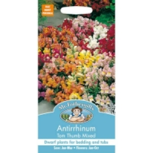 Mr. Fothergills Antirrhinum Tom Thumb Mixed Seeds