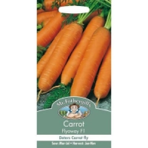 Homebase  Mr. Fothergills Carrot Flyaway F1 (Daucus Carota) Seeds