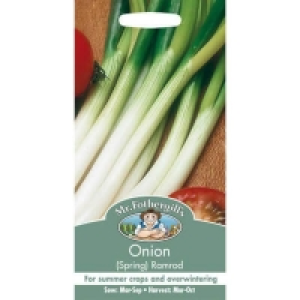 Mr. Fothergills Spring Onion Ramrod (Allium Cepa) Seeds
