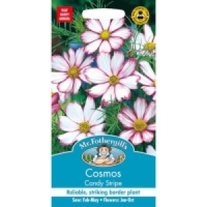 Mr. Fothergills Cosmos Candy Stripe Seeds