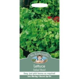 Mr. Fothergills Lettuce Salad Bowl (Lactuca Sativa) Seeds