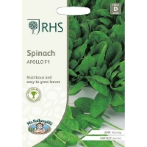 Mr. Fothergills RHS Spinach Apollo F1 Seeds
