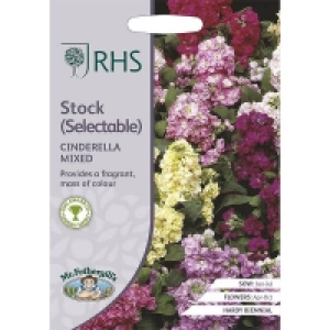 RHS Stock Cinderella Mixed