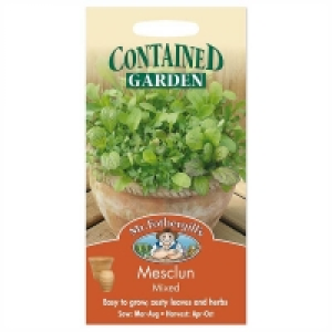 Mr. Fothergills Mixed Mesclun Seeds