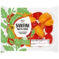 Ocado  M&S Red & Gold Santini Tomatoes