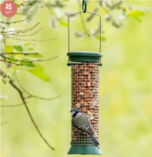 InExcess  National Trust Peanut Plastic Bird Feeder