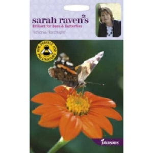 Sarah Ravens Tithonia Torchlight Seeds