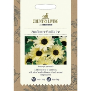Country Living Sunflower Vanilla Ice Seeds