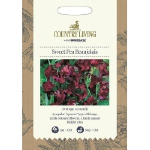 Country Living Sweet Pea Beaujolais Seeds