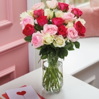 Aldi  Double Dozen Romantic Roses