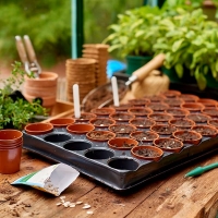 Homebase  Seed And Cutting Tray - 40 Pots