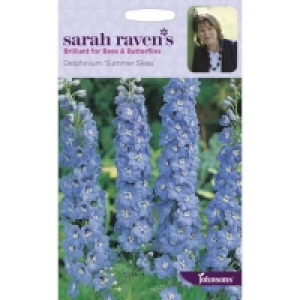 Sarah Ravens Delphinium Summer Skies Seeds