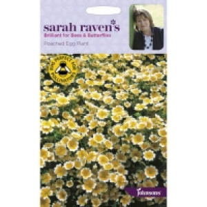 Sarah Ravens Poached Egg Plant Seeds