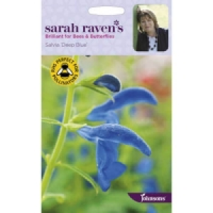 Sarah Ravens Salvia Deep Blue Seeds