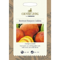 Homebase  Country Living Beetroot Burpees Golden Seeds